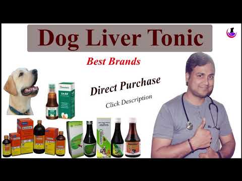 download lagu mp3 mp4 Liver Tonic For Dogs, download lagu Liver Tonic For Dogs gratis, unduh video klip Liver Tonic For Dogs