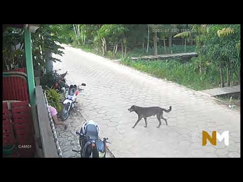 Mulher é 3$faquead@ na frente de casa em Melgaço no #Marajó