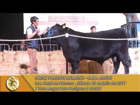 29-07-17 Venta de machos Angus- Sáenz Valiente Bullrich y Cía. - Palermo 2017 -