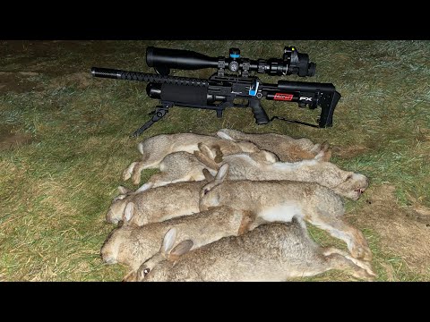 AIR RIFLE HUNTING / SLUG SHOOTING / FX IMPACT M3 BUNNY BASHING / PARD 007 NIGHT-VISION