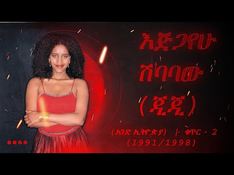 እጅጋየሁ ሽባባው ጂጂ ምርጥ የዘፈን ስብስቦች Ejigayehu Shibabaw GiGi best song collection