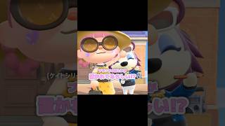 ことのさんが来た、次の日は服屋さんをチェック...？！？！#あつ森 #どうぶつの森 #あつまれどうぶつの森 #どう森 #shortvideo #short #shorts