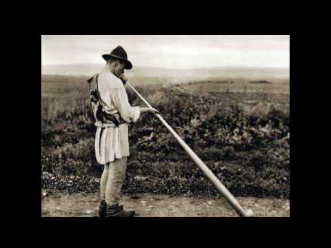 Bucium / Moldavian carpathianhorn tune