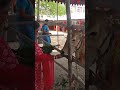 andariki ugadi subhakankshalu - Video