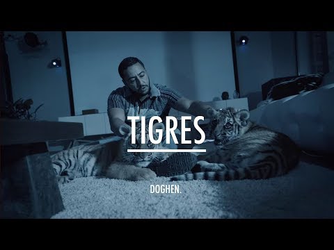 Lacrim x Damso Type Beat "TIGRES" | Prod. DOGHEN.