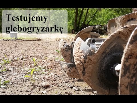 Ogród od zera #3 - Glebogryzarka i kontrola naszych roślinek