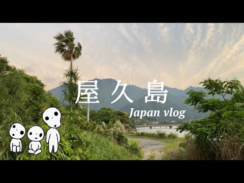 The Magical Island of Yakushima // Japan vlog 20