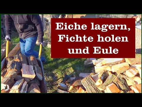 Fichte holen, Eiche einlagern und Eule schnitzen