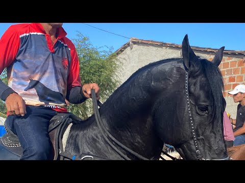 PRIMEIRA CAVALGADA DOS AMIGOS DE SÃO MIGUEL DO ALEIXO/SE 2025