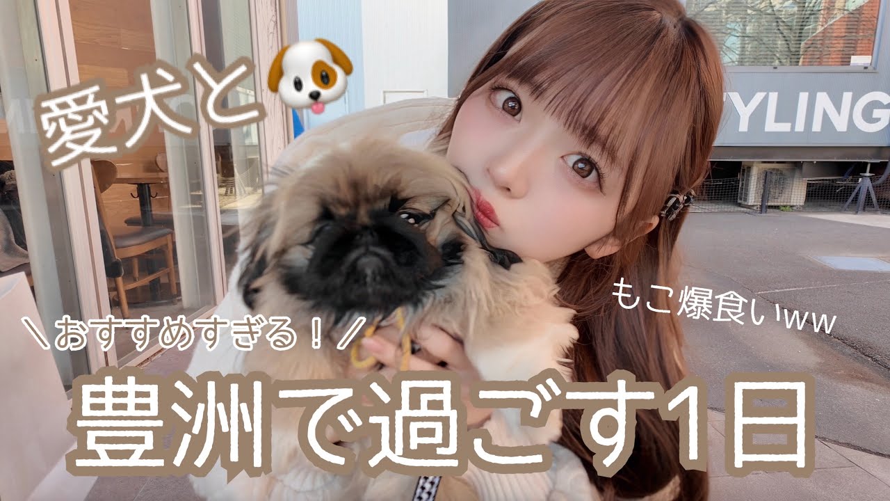 【犬連れおすすめスポット🐶】豊洲で過ごす1日が最高すぎた！！