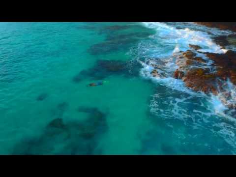 Positive Vibes - Live Aloha - Stein Dezine