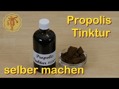 Propolis-Tinktur selber machen