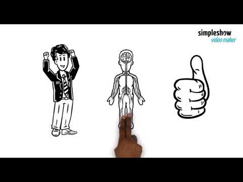 Organisationsstufen des Lebens