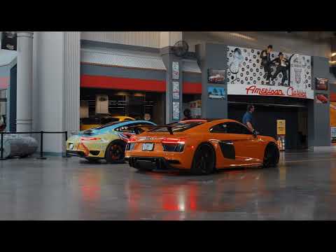 MVDNES, WYR GEMI, ReddCross, HVZVRD - PLAYER