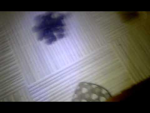 El mejor libro que he leído la estrategia del parásito 😳💑💏😍😘❤