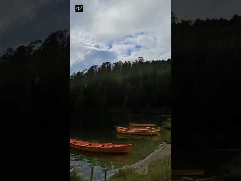 Isla del Rey . Los Venegas Valdivia  Región De Los Ríos Chile