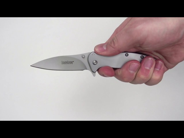 Kershaw 1730SS...