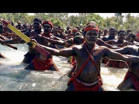Walgara (Herring) Preview - Numbulwar Mardayin