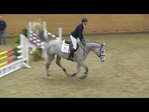 102. Cada Vez v. Cancara - Carthago