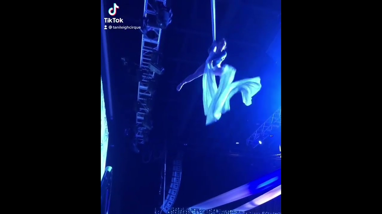Promotional video thumbnail 2 for Jungle Aerial Arts & Circus