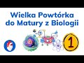Chemizm życia: składniki, funkcje i procesy biochemiczne organizmu
