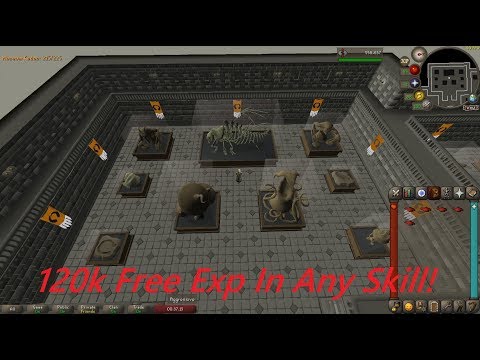 How To Complete Fossil Displays - 120K Free Exp In Any Skill - OSRS Fossil Island Fossils