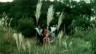 Brahminy Kite Music Video