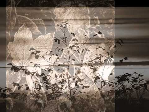 EL VIEJO MATIAS - (CUARTETO ZUPAY)