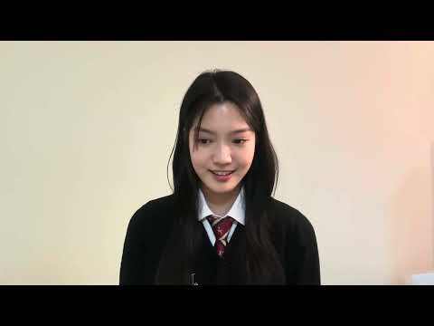 비디오 7