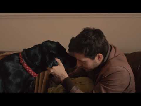 The Power of One Coin  trailer