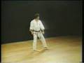 Heian Nidan Shotokan Karate