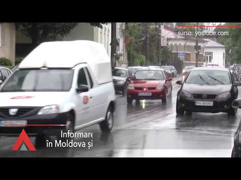 Stiri Mediafax 20 Noiembrie - O vulpe se plimbă nestingherită în centrul Brașovului