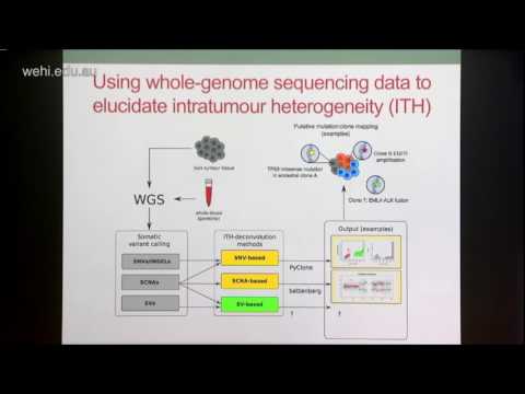 Cmero M (2017): Investigating the evolution of structural variation in cancer