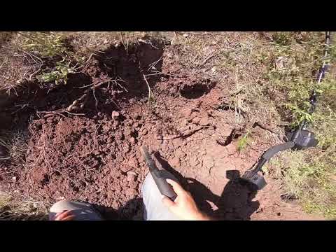 Tarlanın Köşesinden Aldığımız Sinyalin Peşindeyiz !!!