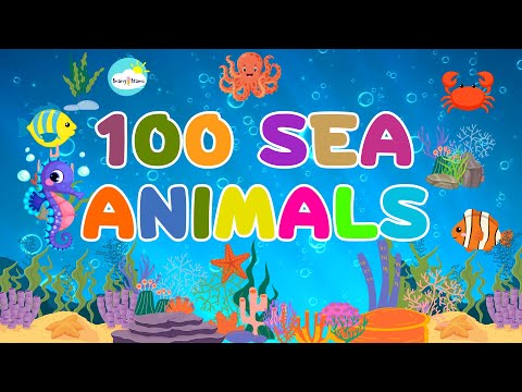 100 Sea Animals | Learn Sea Animals for Kids Learning | Aquatic Animals with Pictures | BrainyBeams