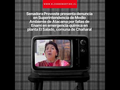 Senadora Provoste denuncia en Superintendencia de Medio Ambiente de Atacama por fallas de Enami