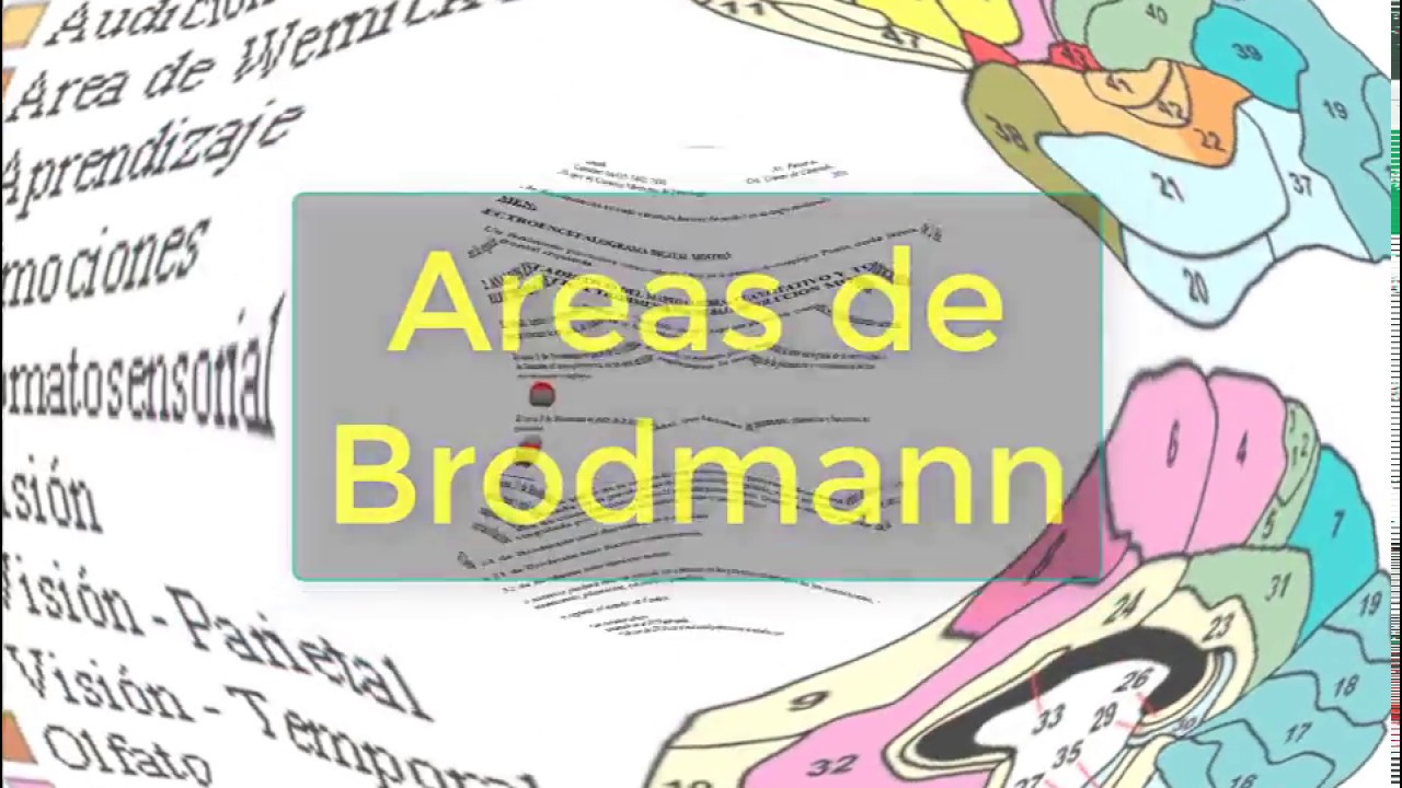 Jose Juan Romo Quintero-1