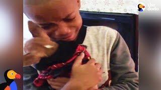 Boy Has BEST Reaction to Dog Adoption | The Dodo