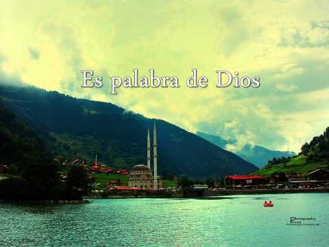 Evangelio del Domingo 16 de Junio del 2013