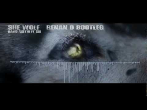 David Guetta Ft. Sia - She Wolf (Renan D Bootleg)