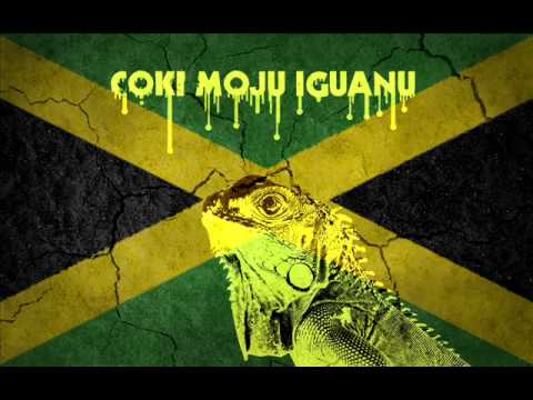 TLV ft. LMR - Coki Moju Iguanu