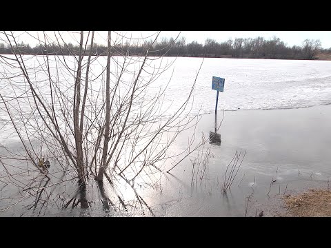 С начала зимы жертвами воды стали четыре жителя Гомельской области видео