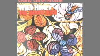 I&#39;d Love Just Once to See You - Beach Boys Cover