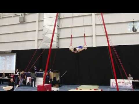 Robert Stanescu - Rings - Senior Final - 2015 Elite Canada