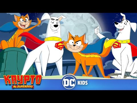 Krypto The Superdog em Português 🇧🇷 | Krypto e Streaky Salvam o Dia |  DC Kids