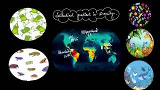 Latitudinal gradients of biodiversity | Biodiversity and conservation | Biology | Khan Academy