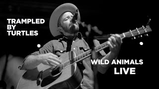Front Row Boston | Trampled by Turtles: Wild Animals (Live)