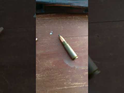 Hollowpoint vs Softpoint Rifle Rounds