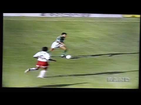 PALMEIRAS 4x0 BOTAFOGO-SP - Campeonato Paulista Série A1 1996 - Record, Band e Globo