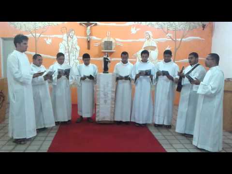 Hino À Santa Teresa - Diocese de Imperatriz